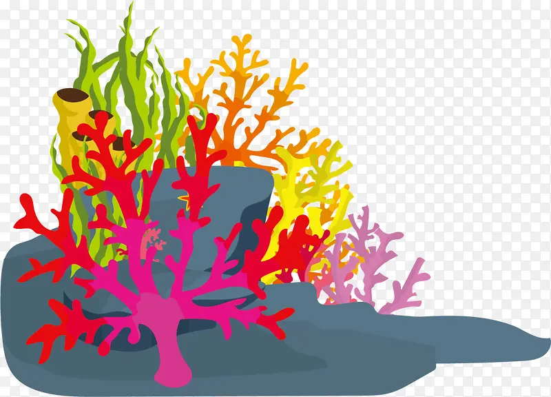 彩色海底珊瑚海草