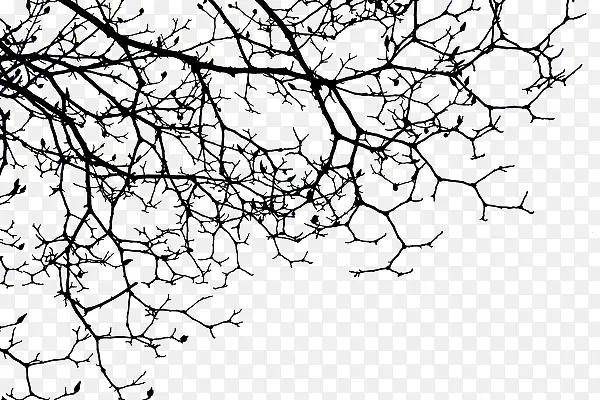 个性的缠绕的树枝