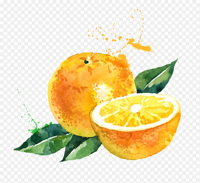 手绘砂糖橘图案素材