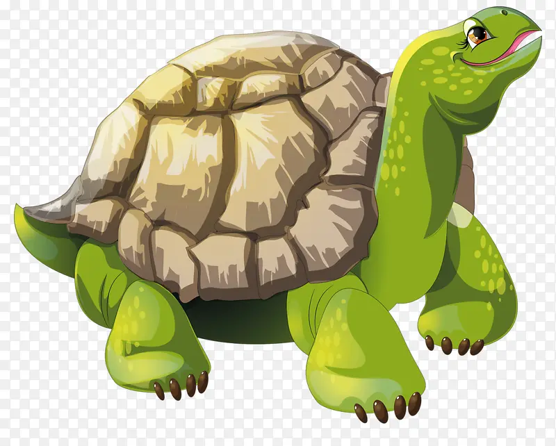 卡通海洋乌龟PNG图片素材下载_图片编号qmokrrbq-免抠素材网