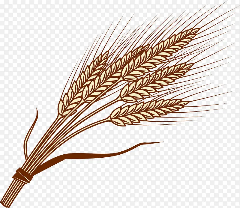 谷物麦子创意矢量图