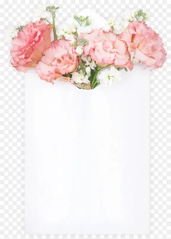 白色信封康乃馨花束