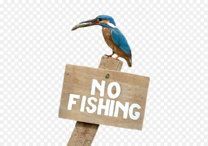 棕色木质醒目警告牌禁止钓鱼素材