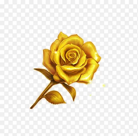 金色的玫瑰高清素材