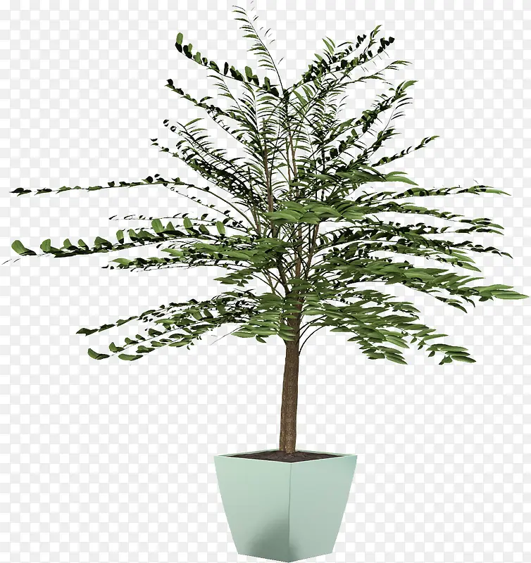 盆子种植的绿树PNG图片素材下载_图片编号yvkdloaq-免抠素材网