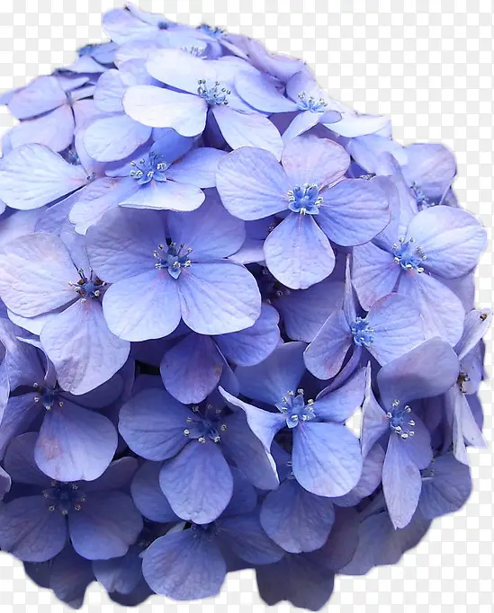 紫色浪漫婚礼花门装饰花卉