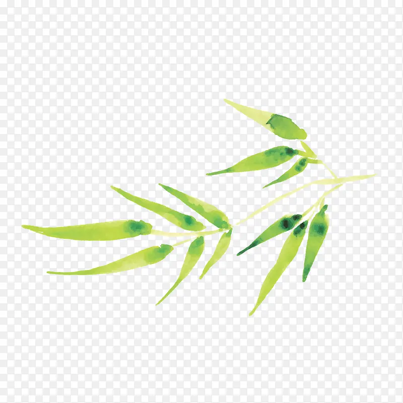 绿色手绘竹叶矢量图
