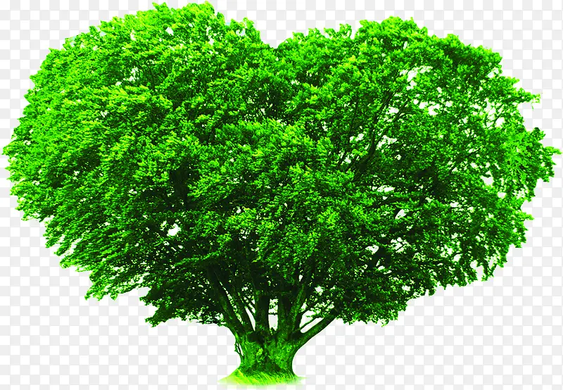 绿色抽象爱心造型大树