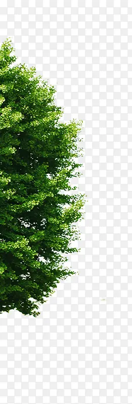 合成创意绿色的大树效果造型园林设计