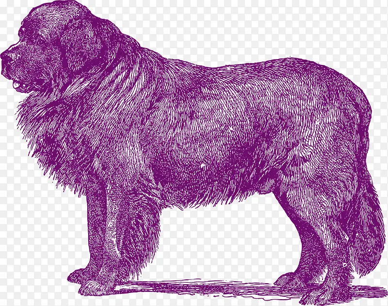 紫色的猎狗
