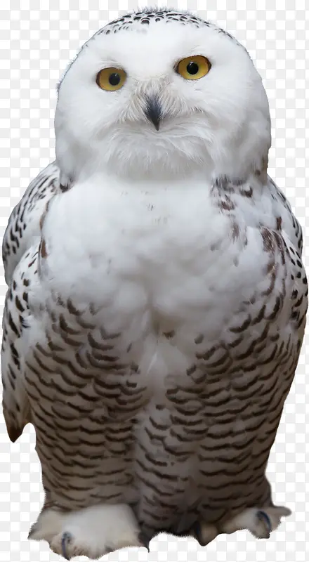 雪雕