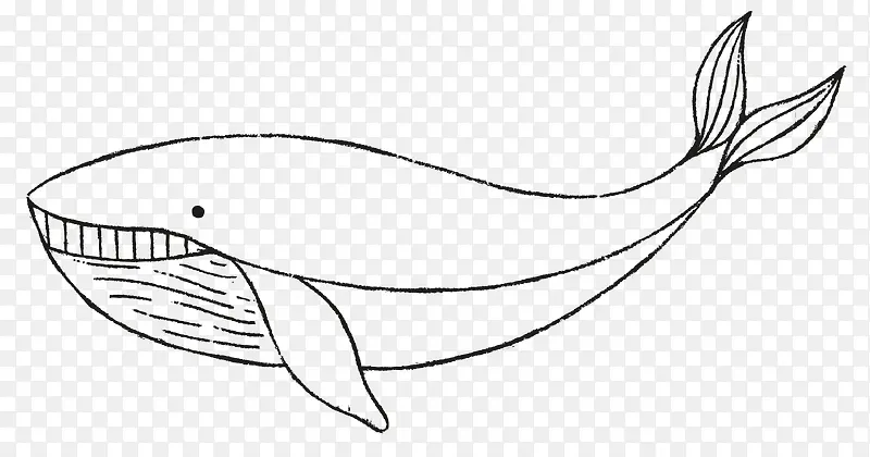 手绘鲨鱼
