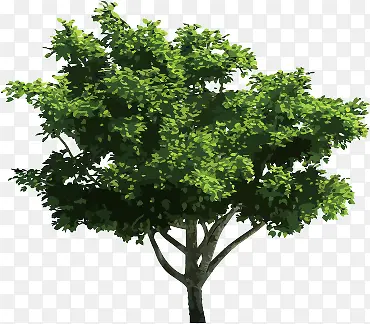 绿色植物花草