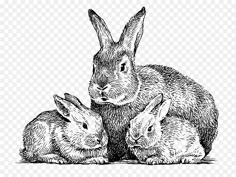 三只一窝黑白可爱兔子手绘素描矢