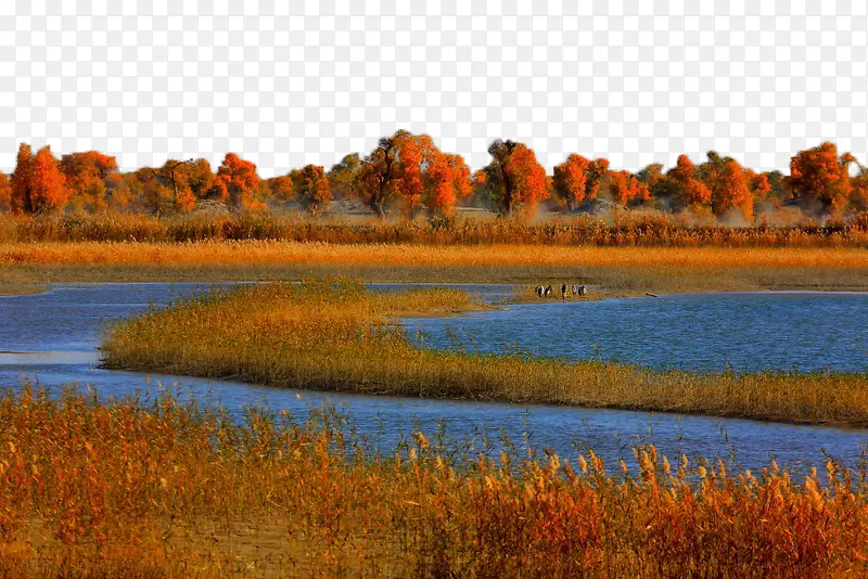 秋天河边风景
