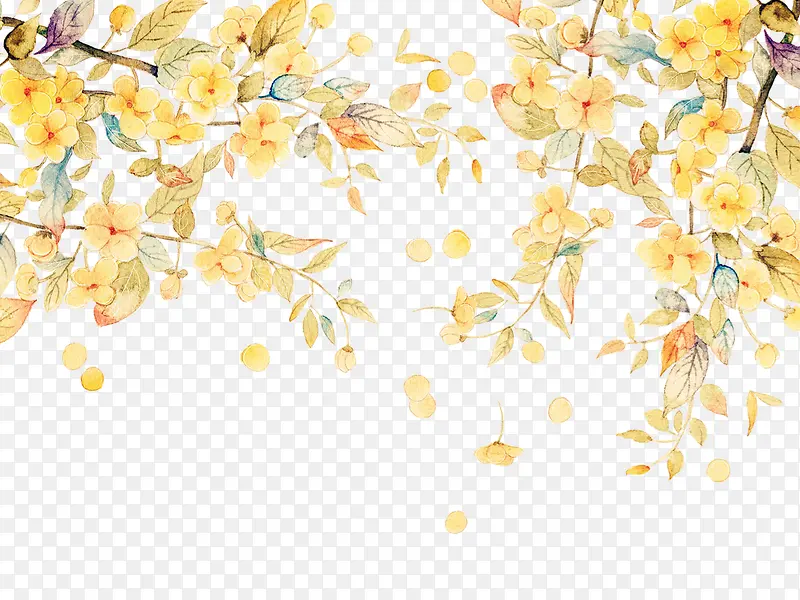 秋天黄色重阳节树叶