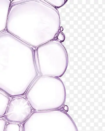紫色细胞