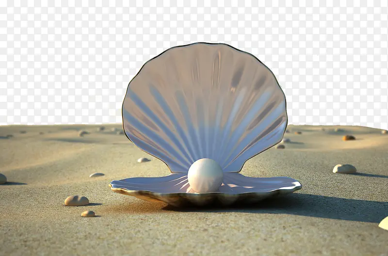 沙滩贝壳珍珠