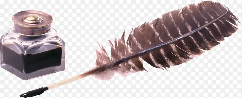 羽毛钢笔