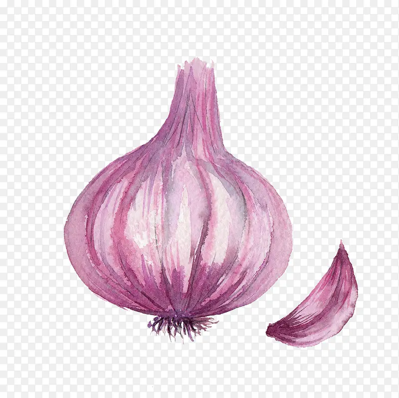 手绘大蒜