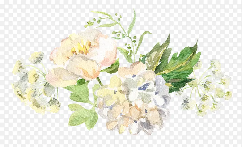 手绘浪漫白色花朵