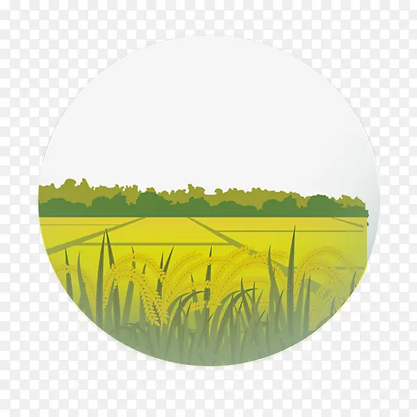 春天的田野稻田手绘插图
