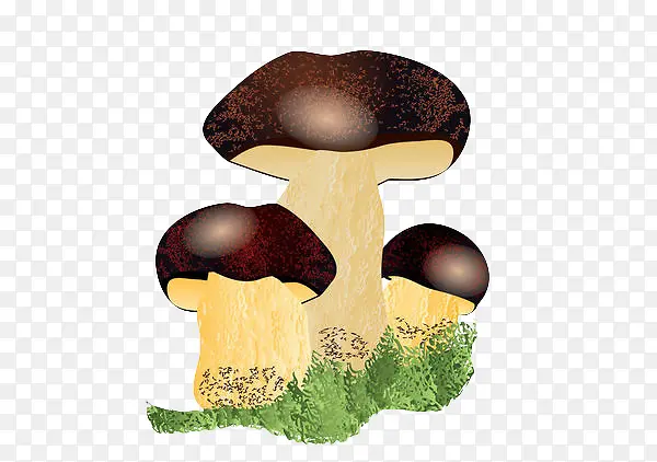 手绘矢量蘑菇