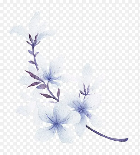 蓝色清新花枝装饰图案