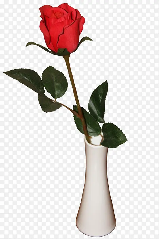 一朵插在花瓶的玫瑰