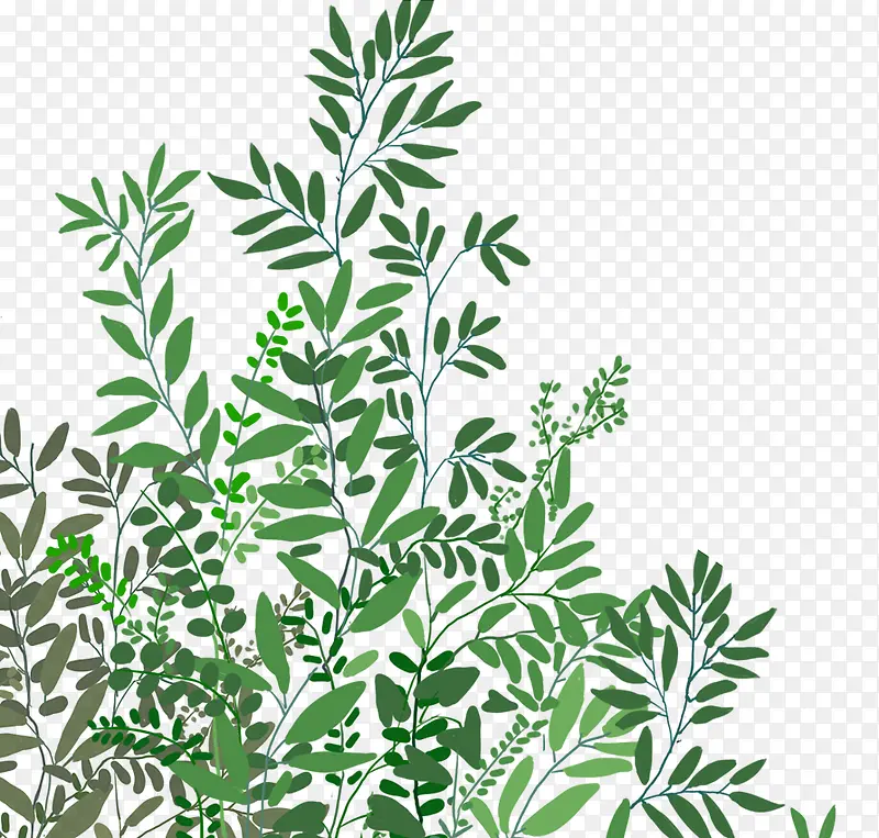手绘夏日植物绿色树叶清新装饰插
