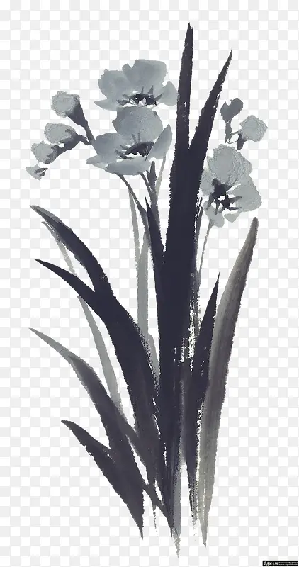 水墨中国画花卉