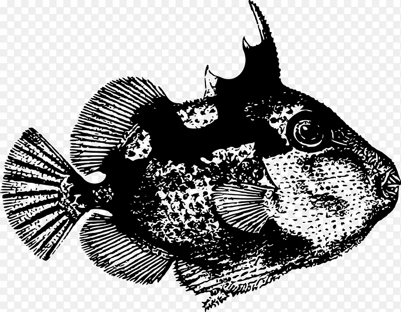 海洋鱼黑白色调矢量图