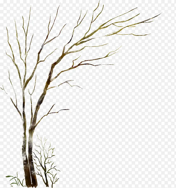 唯美冬天的枯木