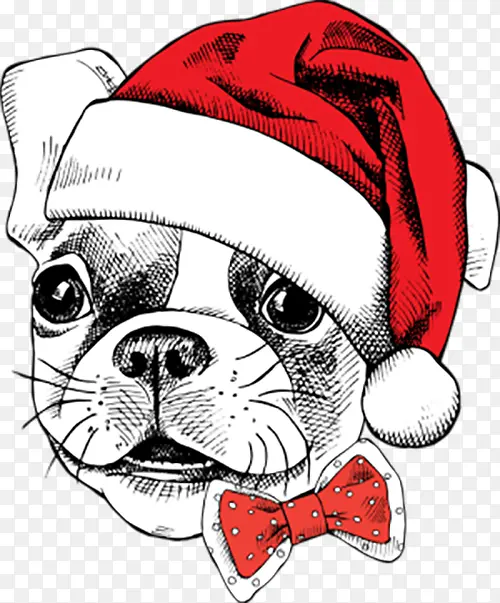 庆祝圣诞节的狗狗