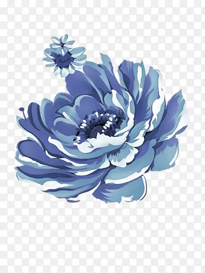 美丽的蓝莲花