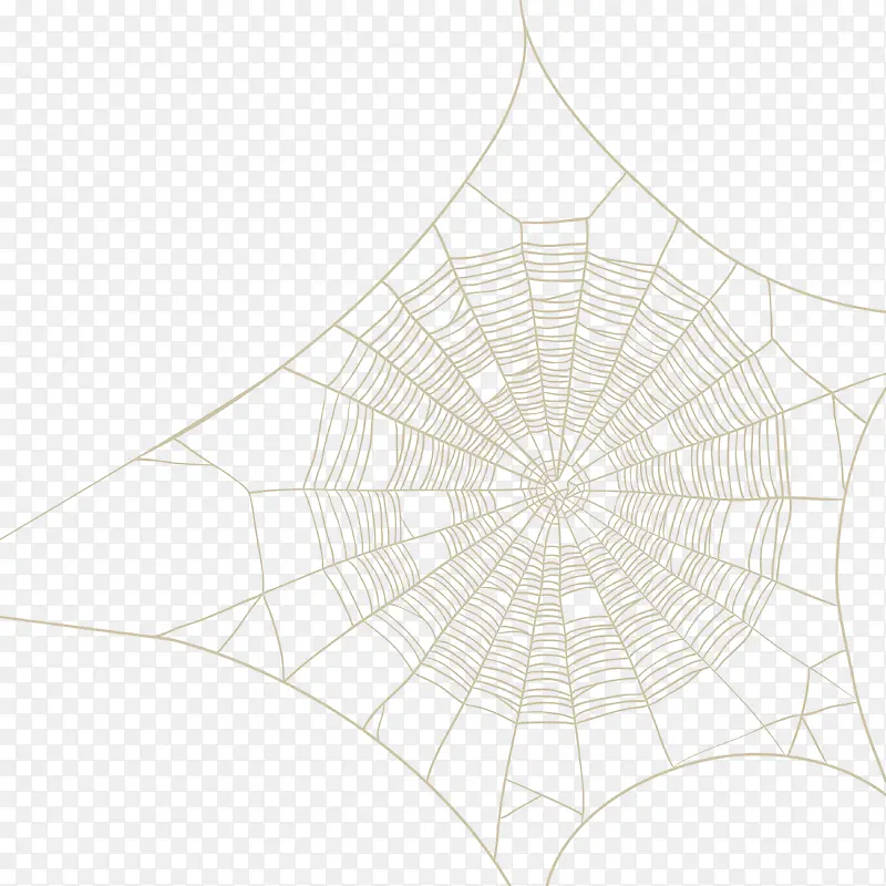 黄色清新蜘蛛网