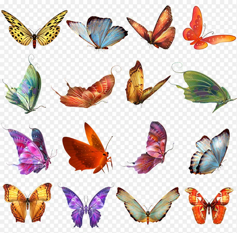 各种各样的飞舞的蝴蝶