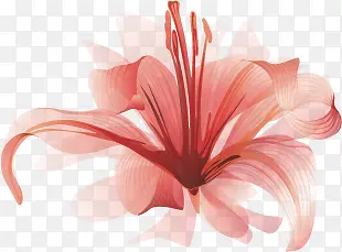 花枝，粉色，粉色花朵，淘宝素材