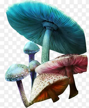 高清摄影蓝色的蘑菇形状