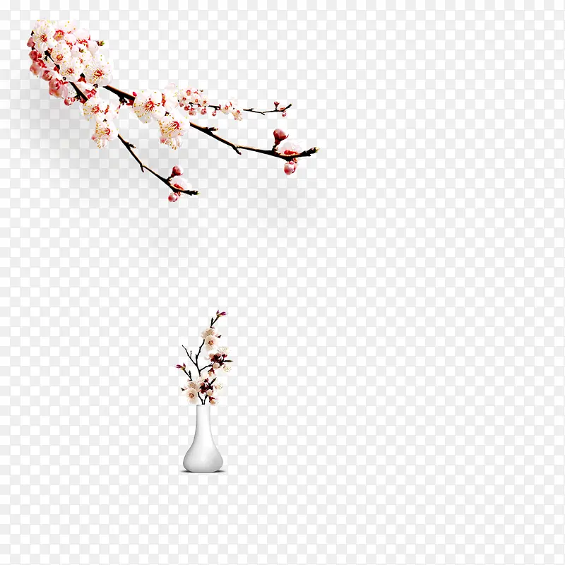 中国风杏花花瓶插画