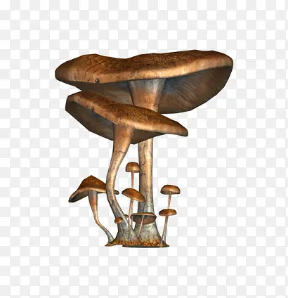 蘑菇形状素材