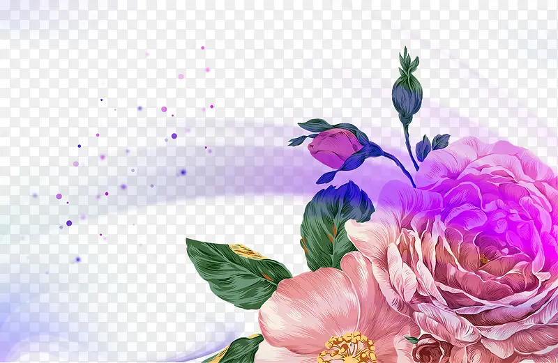 花卉图片
