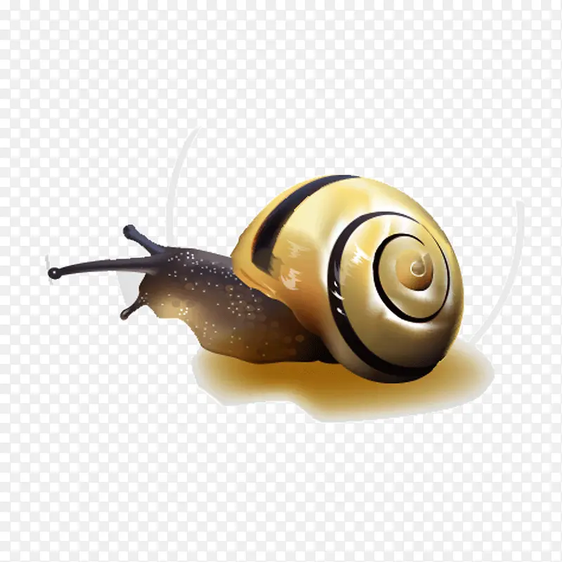 蜗牛