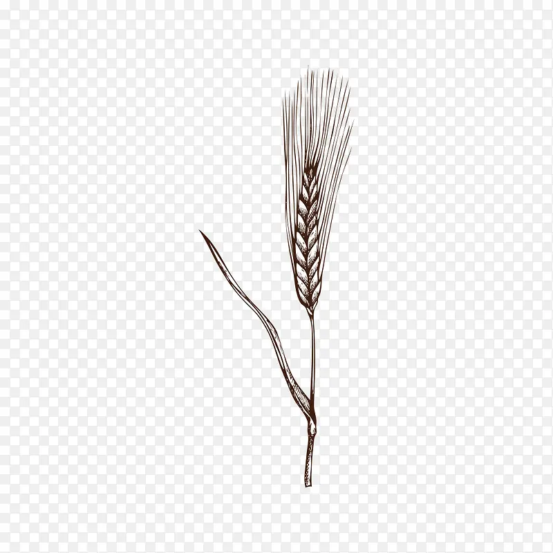 卡通手绘小麦叶子