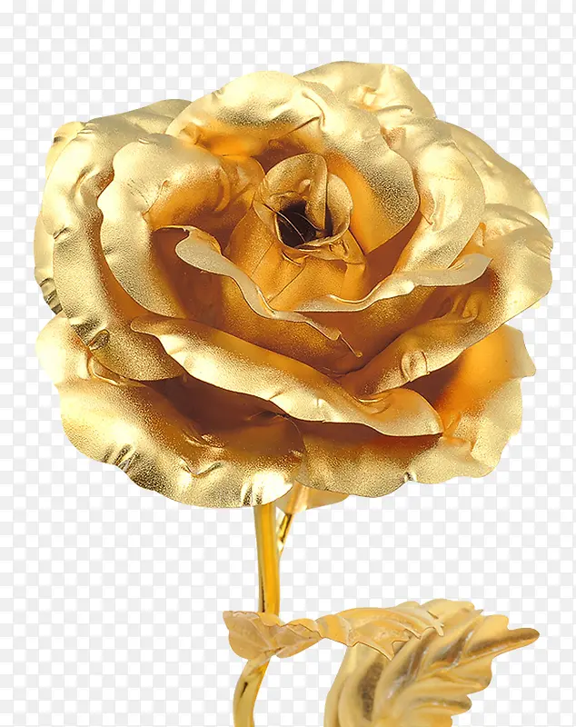 金箔玫瑰花朵特写PNG
