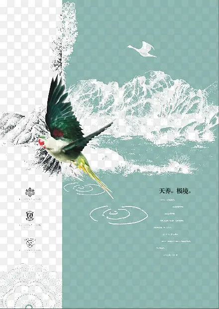 中国风翱翔插画