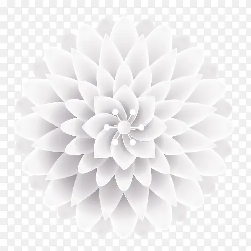 白色高洁装饰花卉设计图