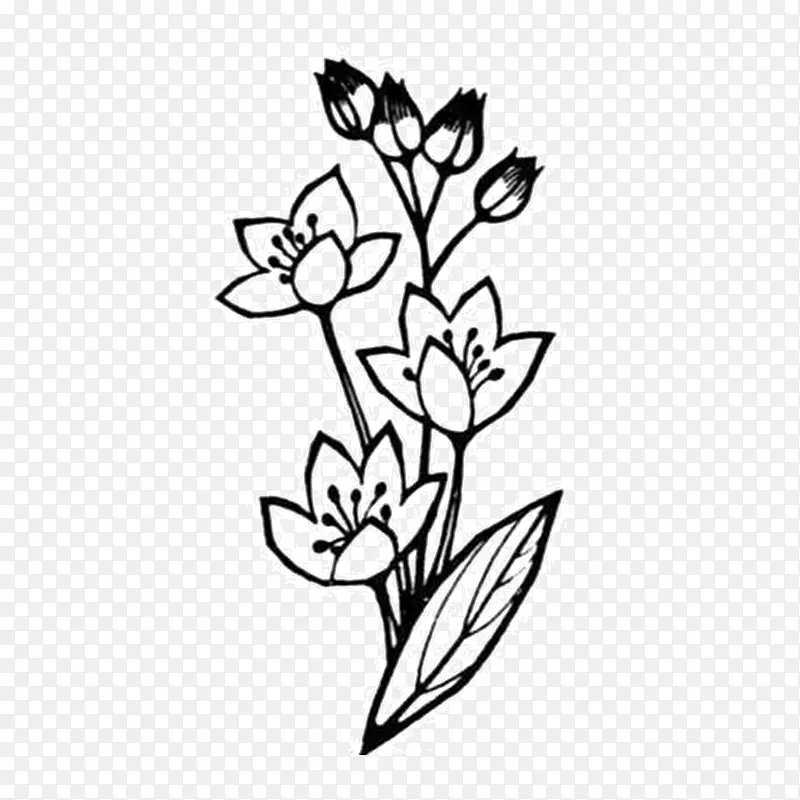 黑白素描花朵