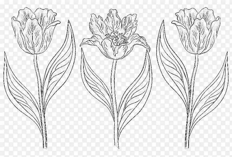 素描三株玫瑰花