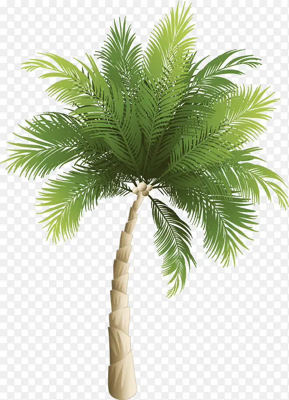 卡通绿色椰子树